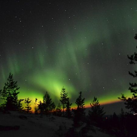 Lagomhuset - A Peaceful Holiday In Swedish Lapland Vidsel Exterior foto